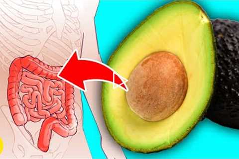What Happens To Your Gut If You Eat Avocado Every Day