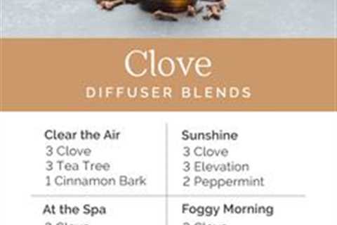 Clove Essential Oil Diffuser Blends | Essential oil diffuser blends recipes, Essential oil diffuser ..