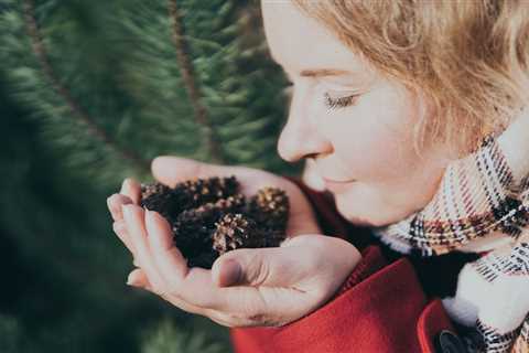 Embrace the Scents of the Season as a Practice of Being Present