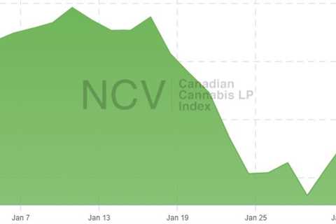 Large Companies Push Canadian Cannabis Stocks 9.5% Lower in January – New Cannabis Ventures