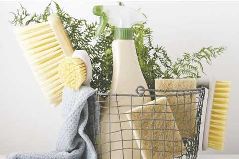 Expert Advice on Purifying and Disinfecting Your Home This Spring | Health