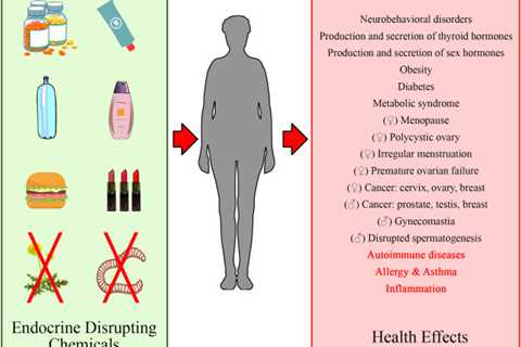 How to Avoid Endocrine Disruptors | Healthy Organic Essentials