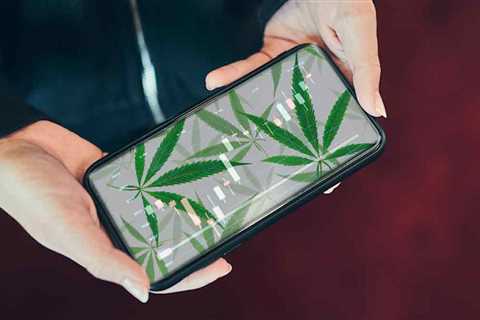 Best Marijuana Stocks To Buy In March? 3 To Watch Delivering Earnings This Month