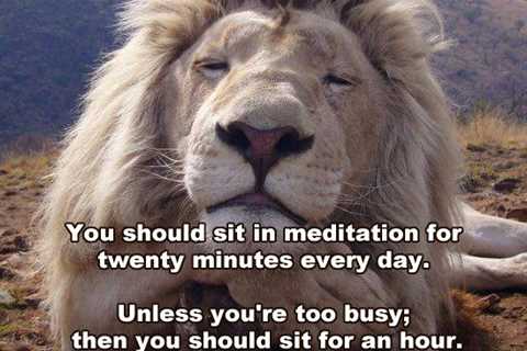Time to meditate