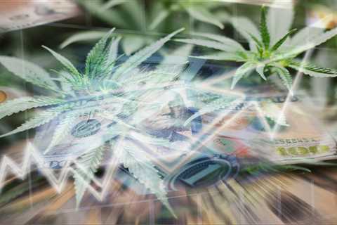 Is the Cannabis Industry Inflation-Proof?