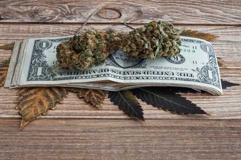 New Report Says Less Than Half of Cannabis Businesses Are Profitable