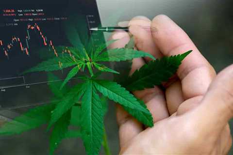 Best Cannabis ETFs For Your Watchlist Right Now? 3 For Robinhood And WeBull Investors