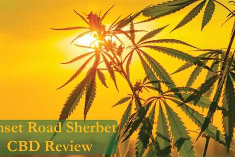 Sunset Road Sherbet CBD Review — CBDhealinghand.com