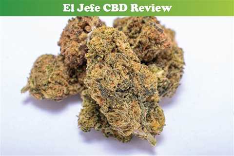 Review Of El Jefe CBD - CBDhealinghand.com