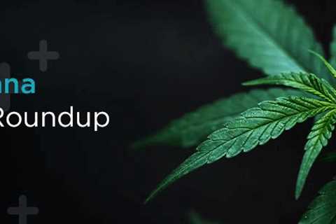 UCASU to partner with seasoned cannabis growers for $50