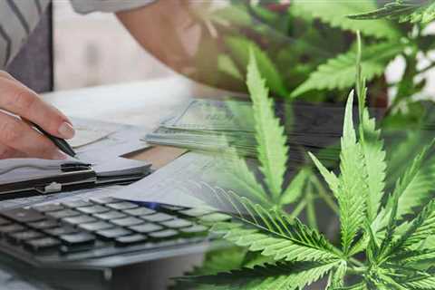 Top Canadian Marijuana Stocks To Watch Before April