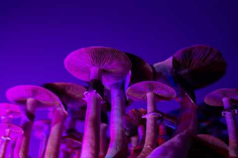 The Top 5 Psychedelics Events to Attend in 2022
