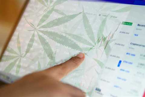 3 Top Marijuana Stocks To Keep On Your Radar