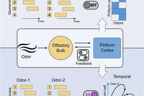 Research suggests the brain processes smell both like a painting and a symphony