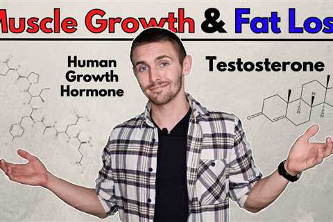 5 Important Hormones for Muscle Growth and Fat Loss | HGH, IGF-1, Testosterone & Co!