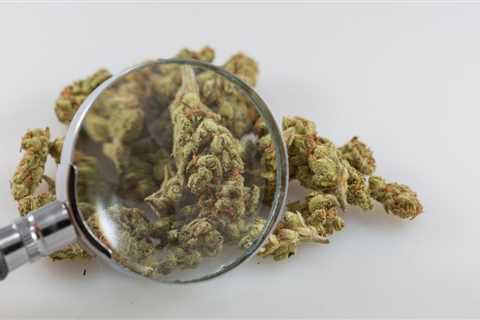 Missouri House Votes To Unveil Medical Marijuana Business Ownership Details