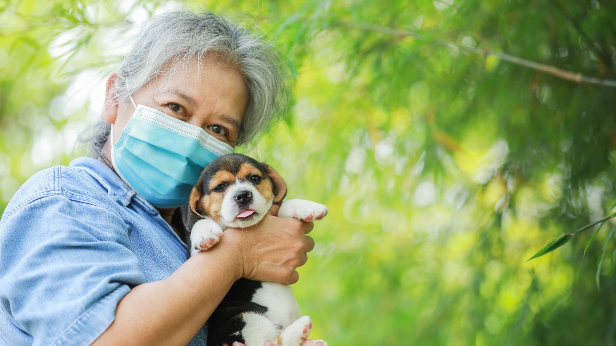 Love Your Dog But Hate the Sniffles? A Dog Allergy Vaccine May Soon Be a Reality