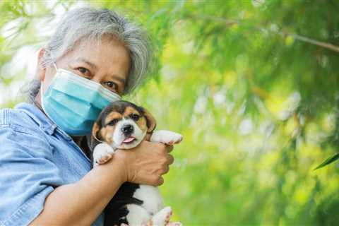 Love Your Dog But Hate the Sniffles? A Dog Allergy Vaccine May Soon Be a Reality