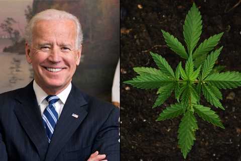 White House Intern Applicants Will Be Asked About Marijuana, Biden Administration Clarifies