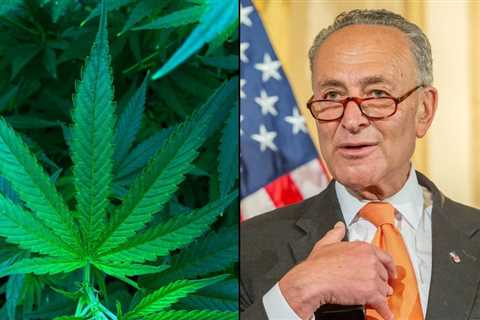 Schumer And Pro-Legalization GOP Congressman In Talks Over Marijuana Banking And Expungements..