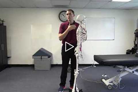 Can't Touch Your Toes?  Stop Stretching Your Hamstrings! - Watch First