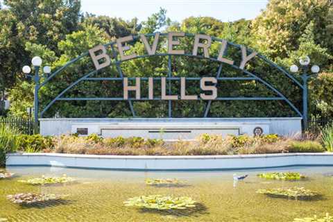 Son of Beverly Hills councilman pleads not guilty to impersonating council candidate