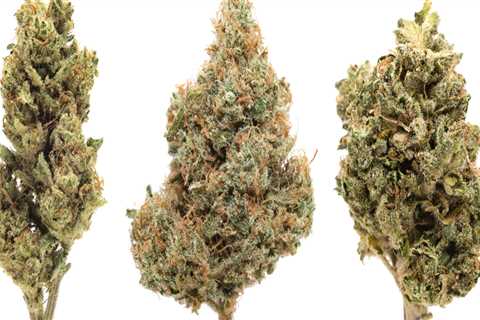Are hybrid strains good for relaxing?