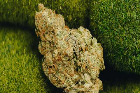 Is indica a brain high or body high?