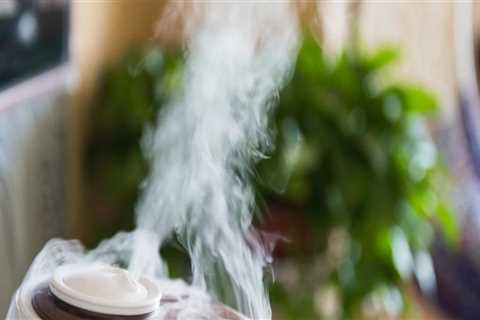 Is a humidifier or vaporizer better for colds?