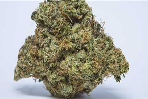 Is sour diesel 100% sativa?