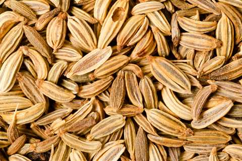 This Lesser-Known Grain Superfood Could Improve Your Gut Health and Help You Manage Your Weight