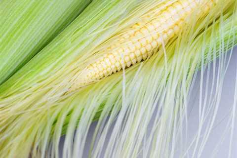 Can Corn Silk Help Manage Diabetes?