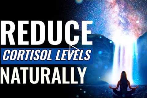 Reduce Cortisol Levels Naturally | Stress Reduction Music Therapy | Brain Calming Sound Vibrations