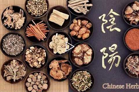 Why Chinese medicine is BEST in the world ? | Visit - Traditional Chinese Medicine (TCM )