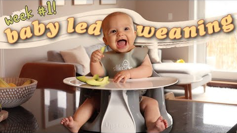 First Week of Baby Led Weaning at 6 Months Old | BLW Tips + Advice