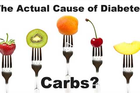 The ACTUAL Cause of Type 2 Diabetes. Carbs?
