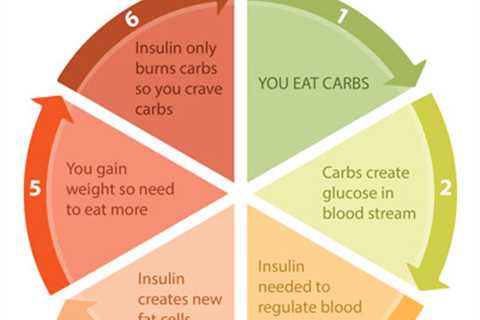 Some Ideas on Weight Loss Advice - Verywell Fit You Should Know  — egypthat22