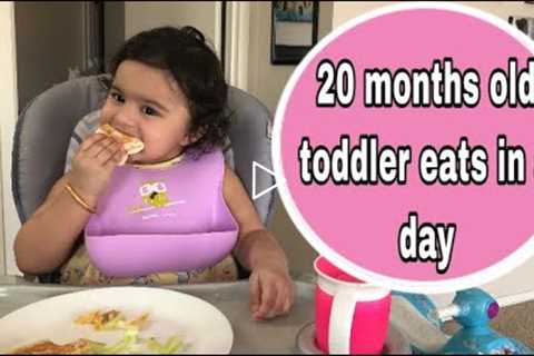 what my 20 months old toddler eats in a day|Healthy meal ideas for 16-20 months old