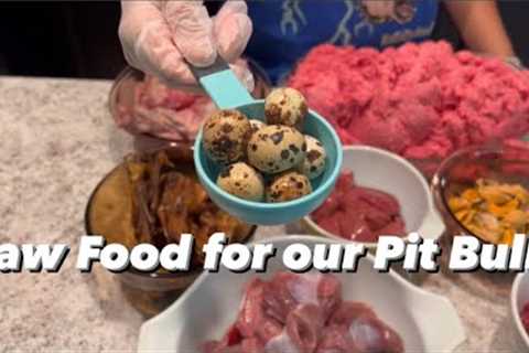 Raw Food Diet for our Pit Bulls