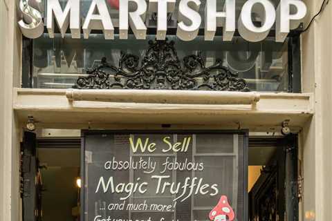 A Guide to Magic Truffles in Holland