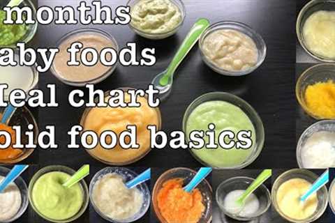 Baby Food Recipes For 6 Months | Fruit and Vegetable Purees | Porridges | Stage 1 Homemade BabyFood