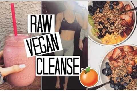 How to Cleanse & Detox your Body with a RAW VEGAN Diet | What I Eat in a Day #3
