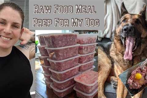 How I Feed My Dog a Raw Food Diet | Way easier and cheaper than you think!