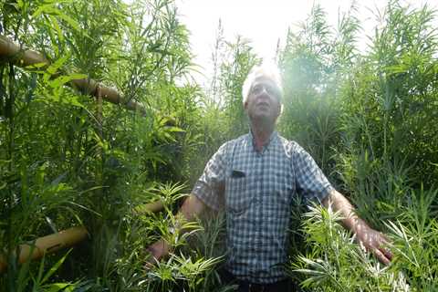 How large is the hemp industry?