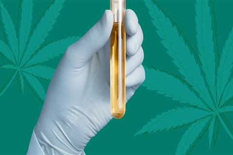 Does full spectrum cbd show in drug test?