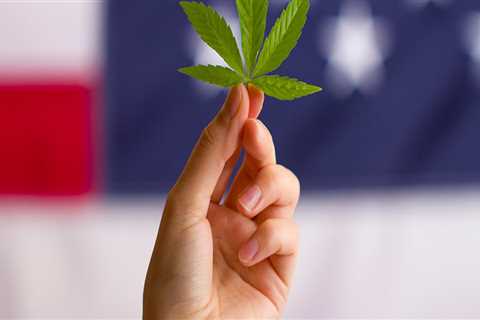 How many states is cbd legal in?