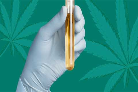 What cbd does not show up in drug test?
