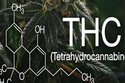 What is the difference between thc and thc total?