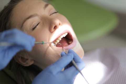 How To Choose The Right Dentist For Your Family's Needs - Prim Mart