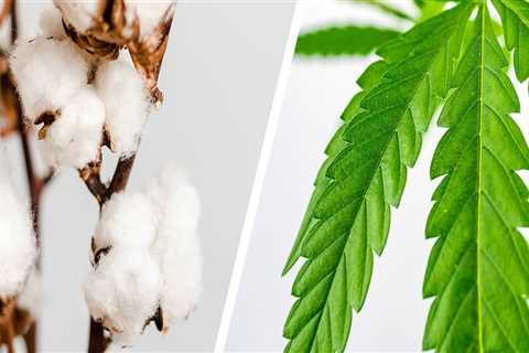Is hemp as good as cotton?